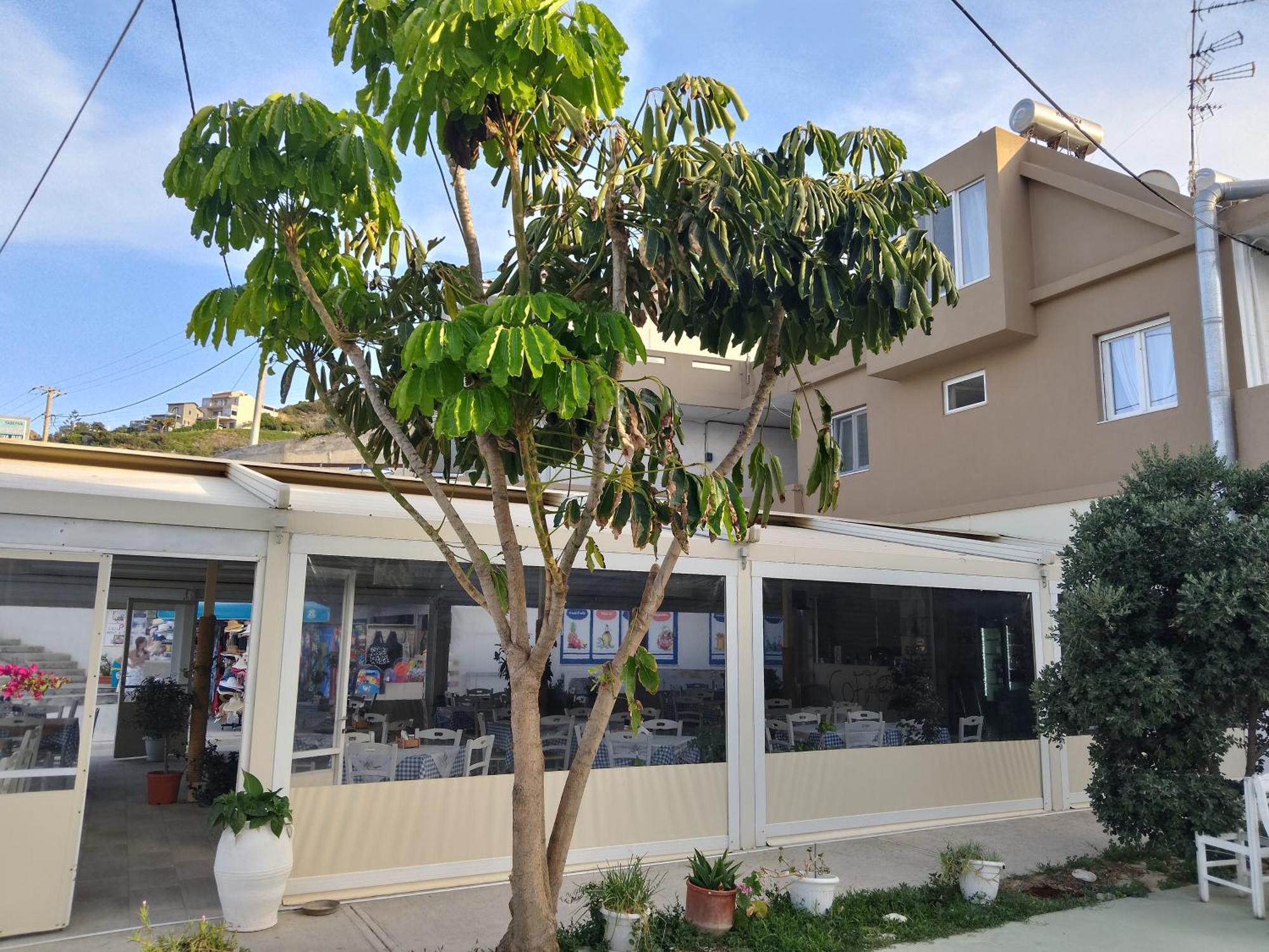 Anatoli Lygaria Apartments On The Beach 利加里亚 外观 照片